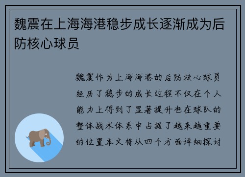 魏震在上海海港稳步成长逐渐成为后防核心球员